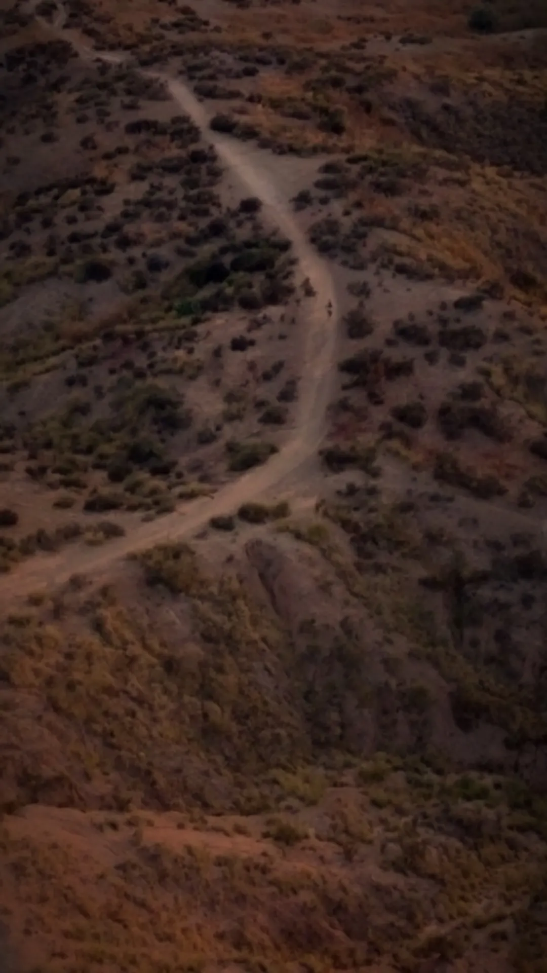 El camino, desde arriba — undefined